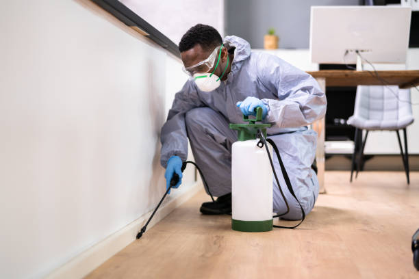 Reliable Thomasville, NC Pest control Solutions